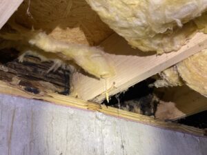 Crawl Space Inspection