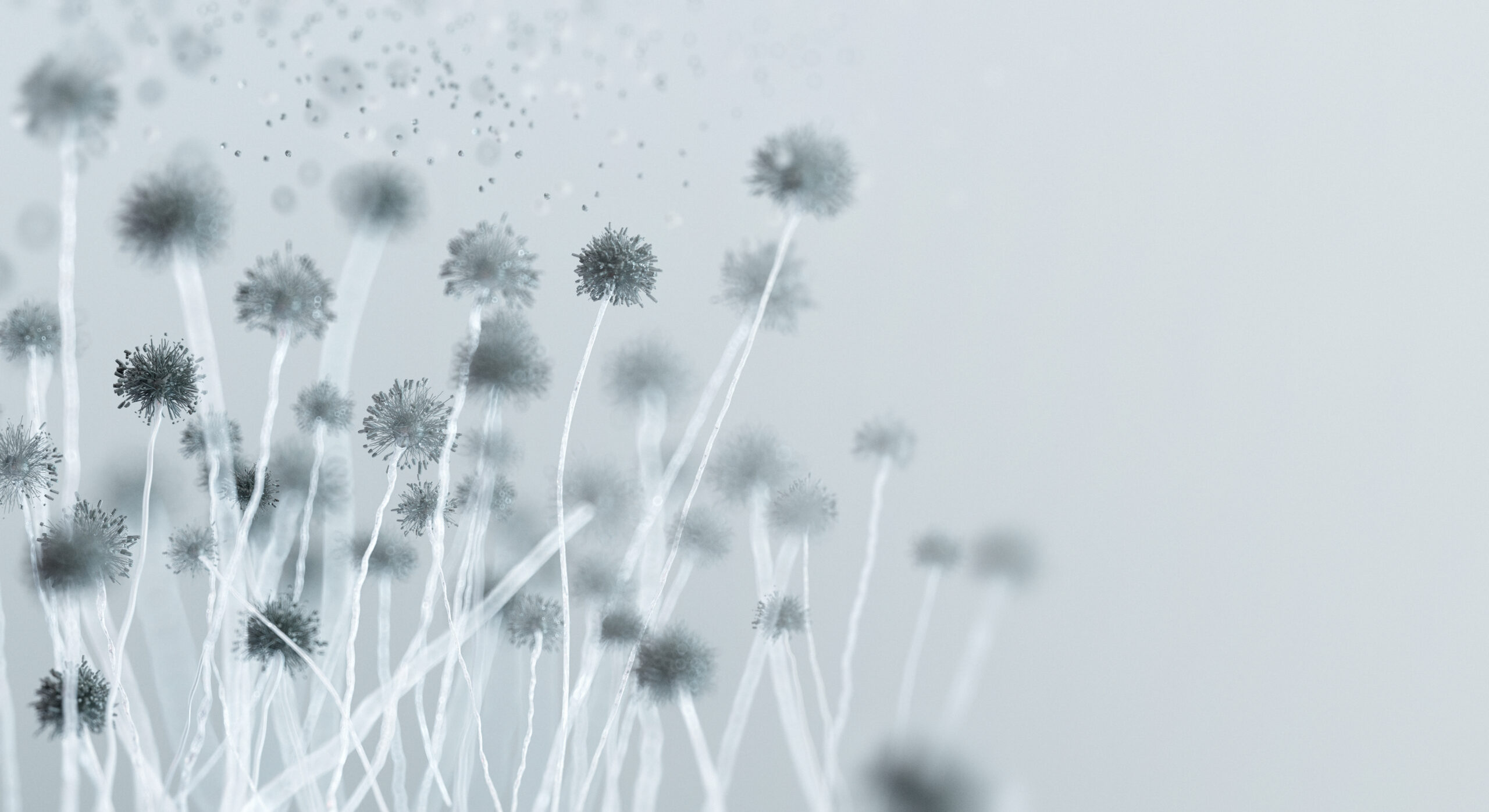 Half the Air in Your House Comes From a Room You’ve Never Been In