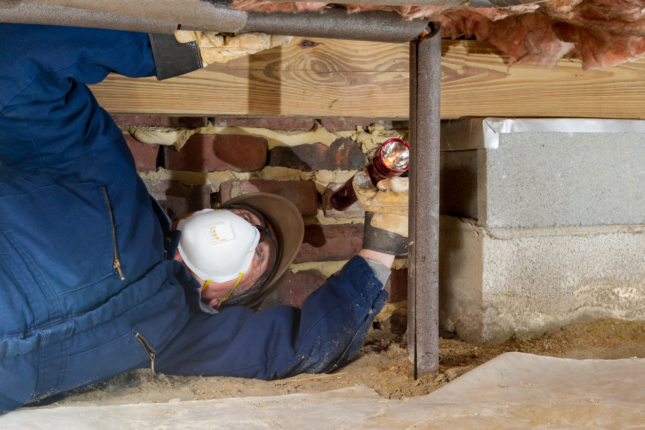 What Actually Happens During a Crawl Space Inspection