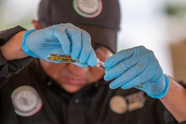 Narcotics Residue Testing: What It Is and When You Actually Need It