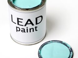 lead paint on white background